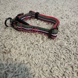 Small Dog Collar